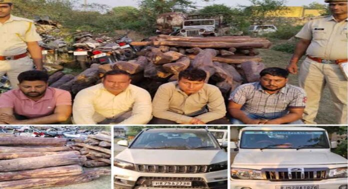 CID seized red sandalwood worth Rs 12 crore