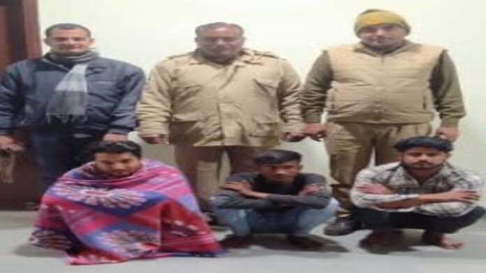 Buffalo theft gang exposed: A buyer along with two miscreants arrested