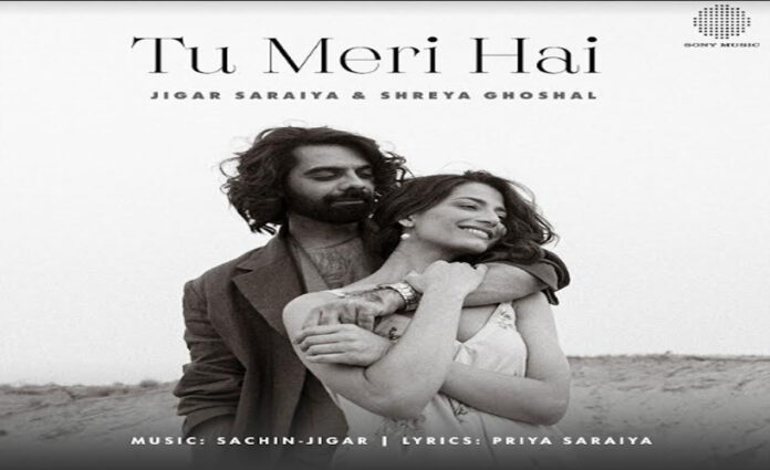 Sony Music's new offering 'Tu Meri Hai'