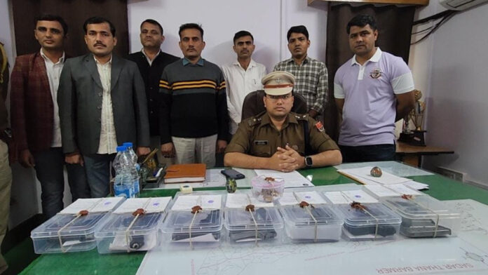 Police caught a cache of illegal weapons: two accused arrested