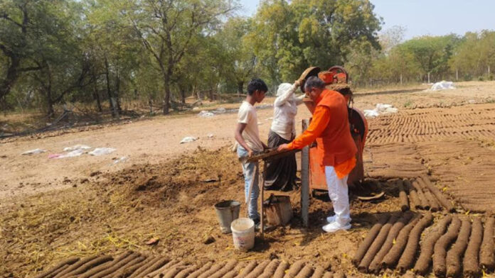 Two hundred tons of cow wood will be sent to Gujarat for Holika Dahan.