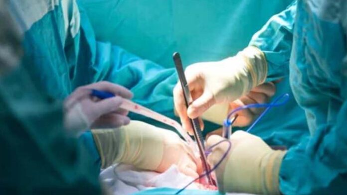 EHCC surgeon questioned in organ transplant case
