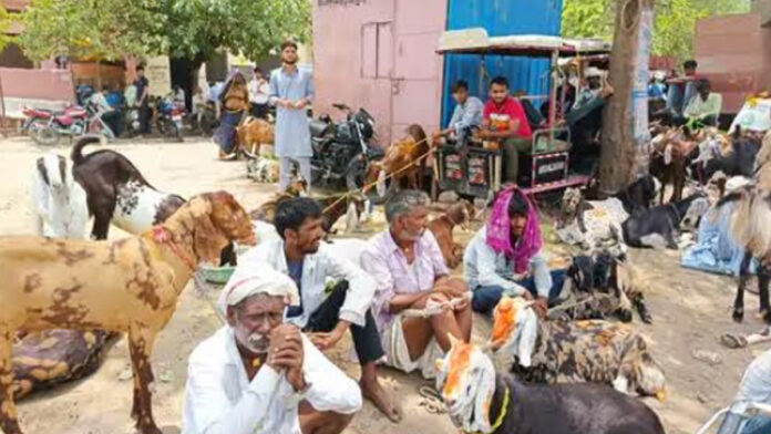 Bakra Eid on Monday