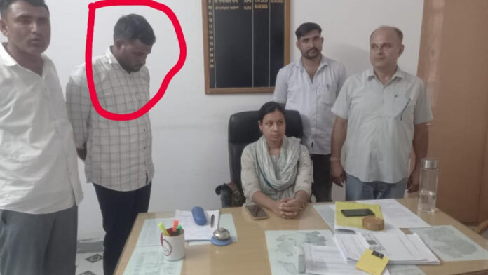 Junior assistant arrested taking bribe